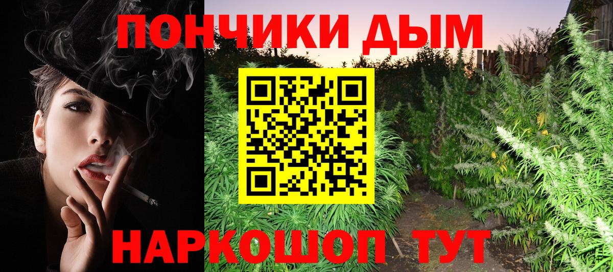 Шишки марихуана Bruce Banner Алатырь